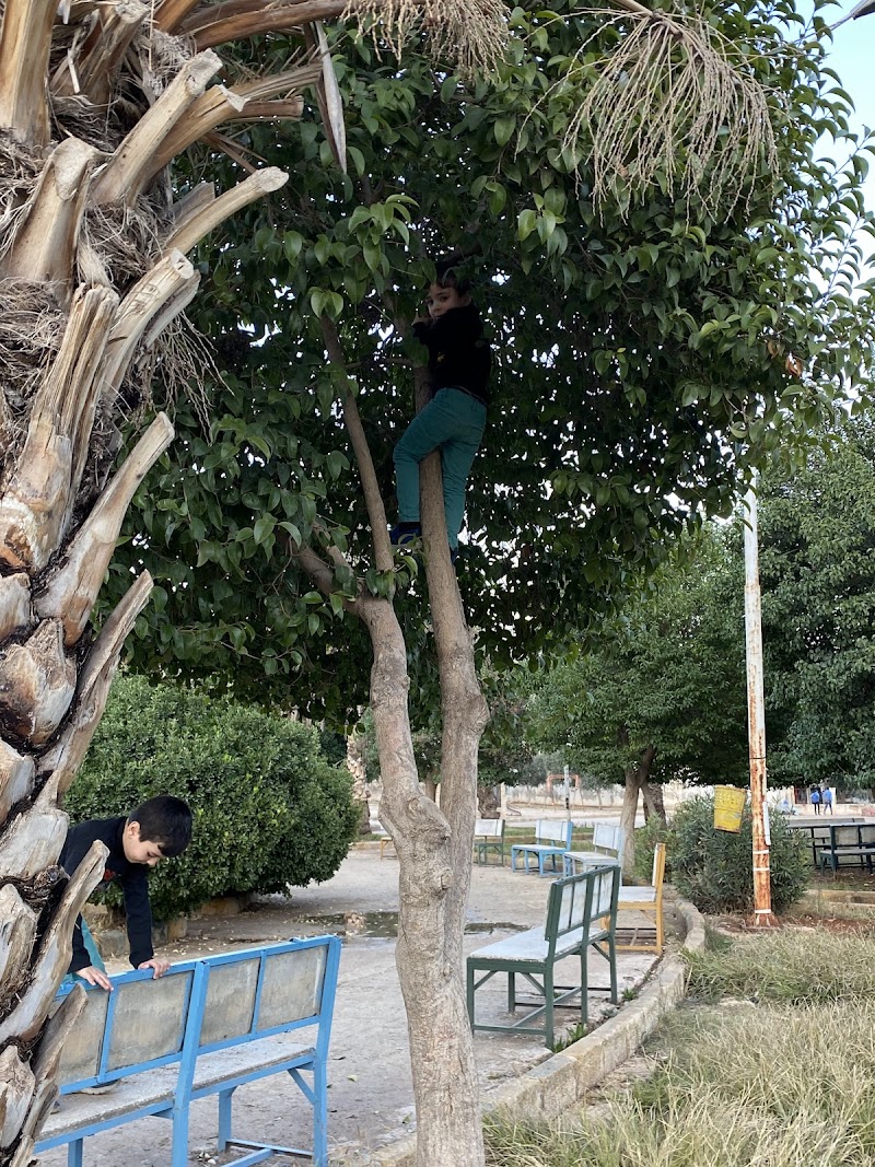 حديقة الكندي 4