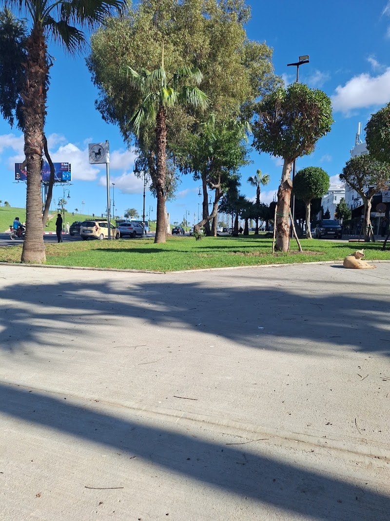 رياض المجمع الحسني 3