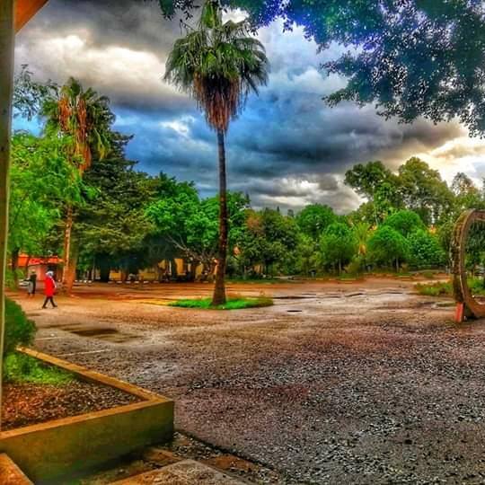 الجامعة اللبنانية - كلية العلوم الاقتصادية وإدارة الأعمال 2