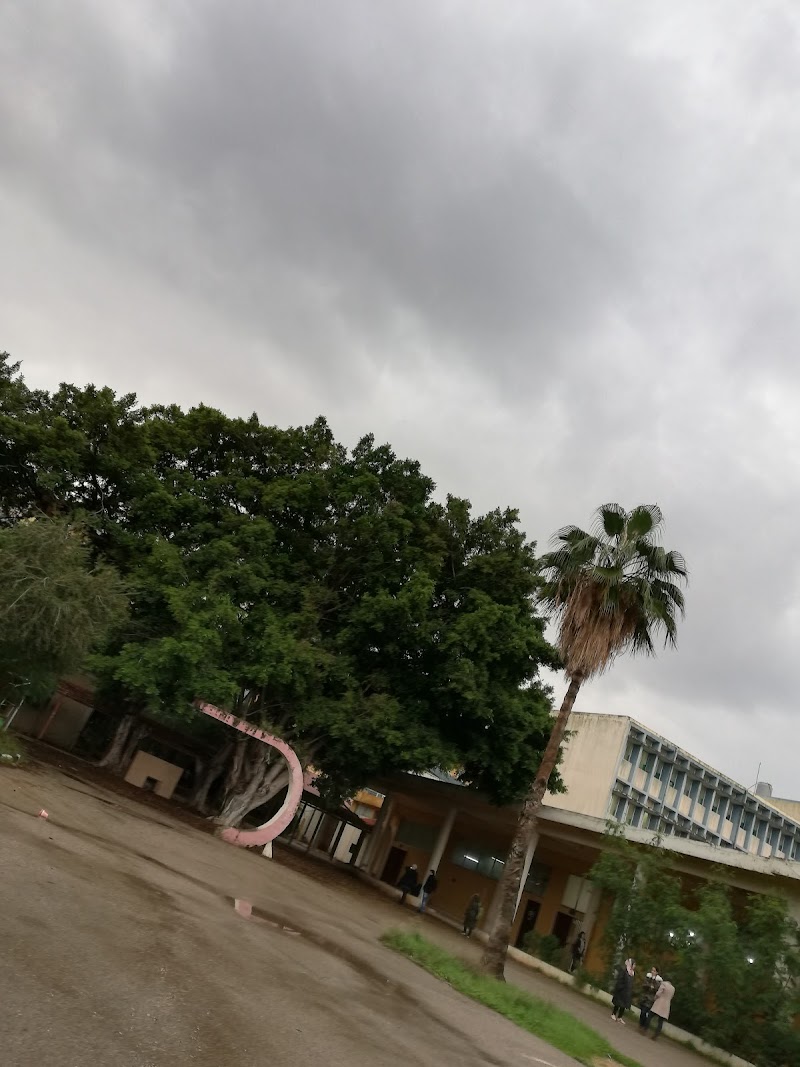 الجامعة اللبنانية - كلية العلوم الاقتصادية وإدارة الأعمال 3