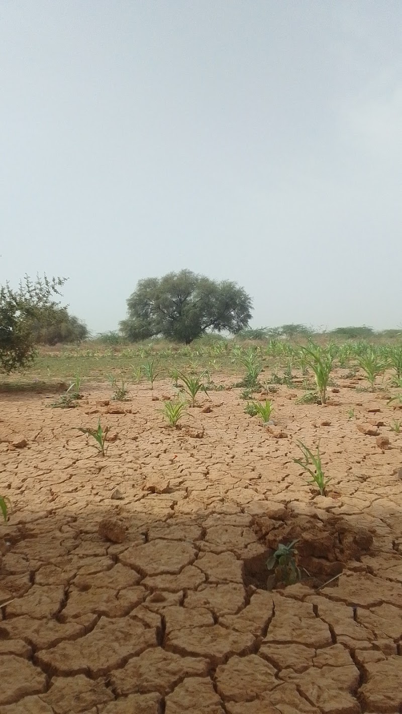 فندق فابولي 4