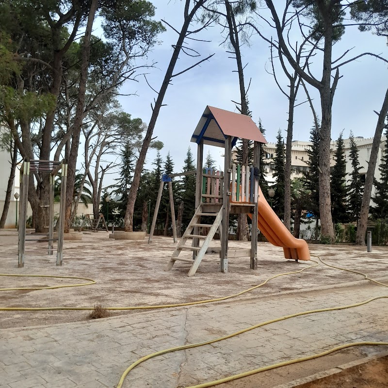 مدرسة الأعمال إم الجزائر