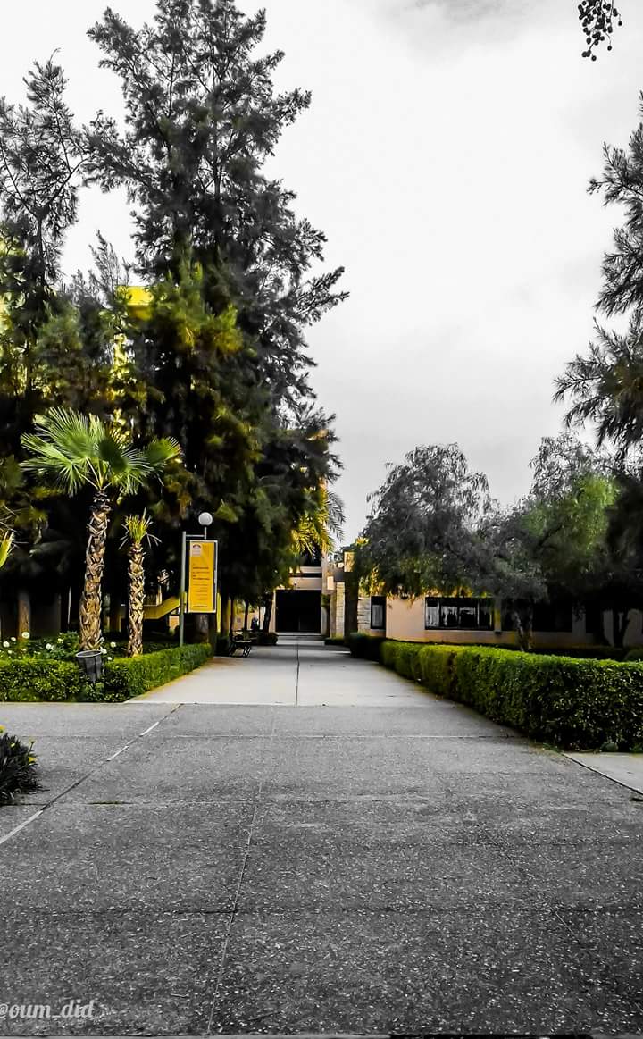 مجموعة المدارس الوطنية للعلوم والتقنيات