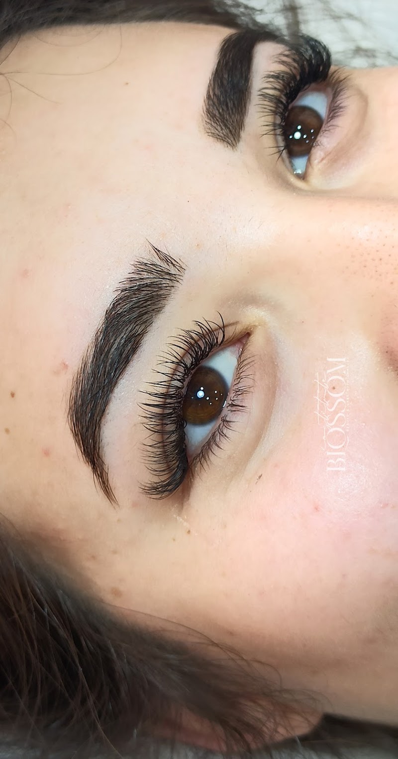 معهد بلوسوم 2