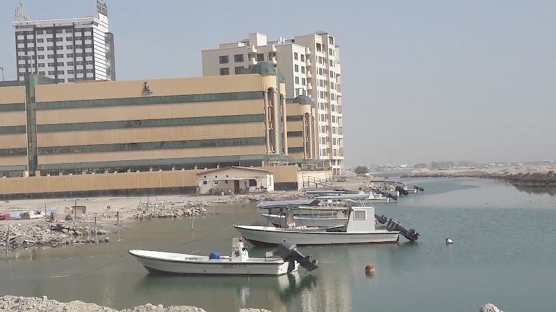 مستشفى البحرين التخصصي 2