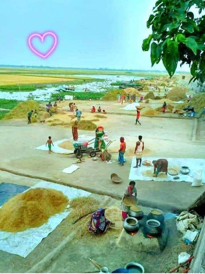 كيتوبي كيتشن الجهراء