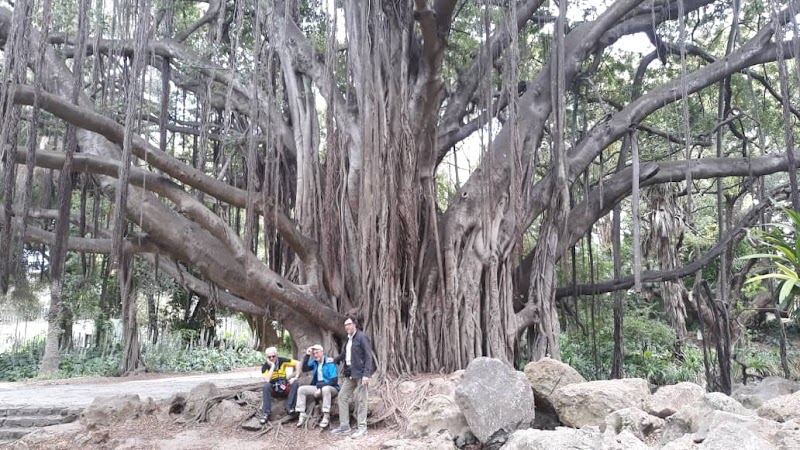 جولات الجزائر 16 4