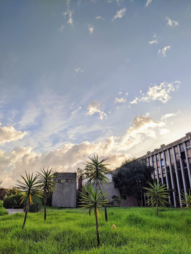 جامعة العلوم والتكنولوجيا هواري بومدين 3