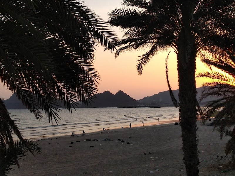 ساحل تيرغر 4