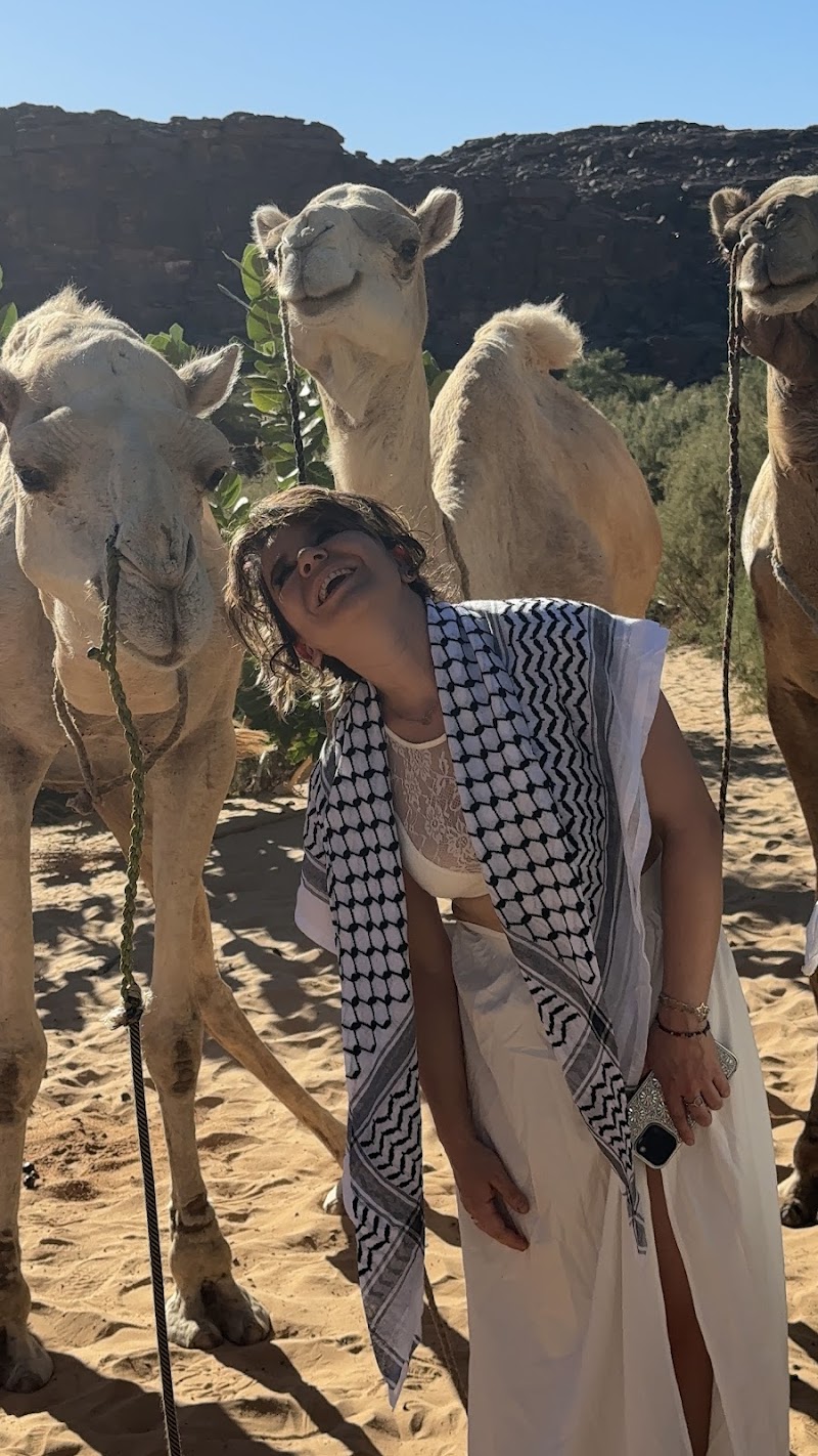 تايم فور موريتانيا للرحلات