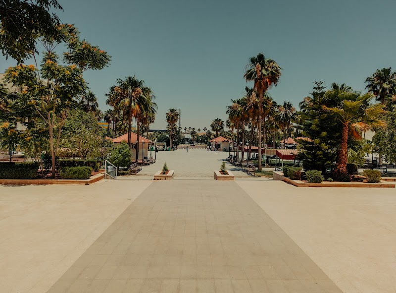 جامعة جدارا 3