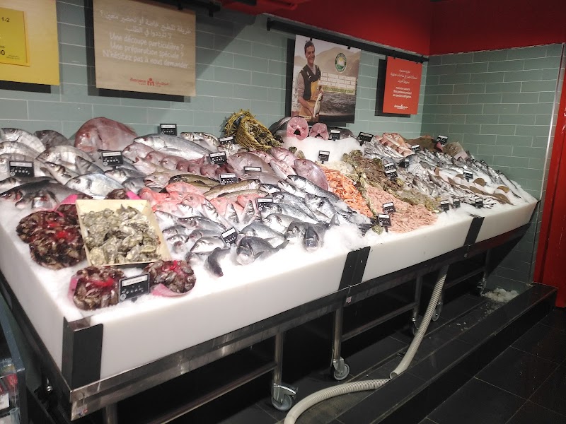 مرجان حمرية 2