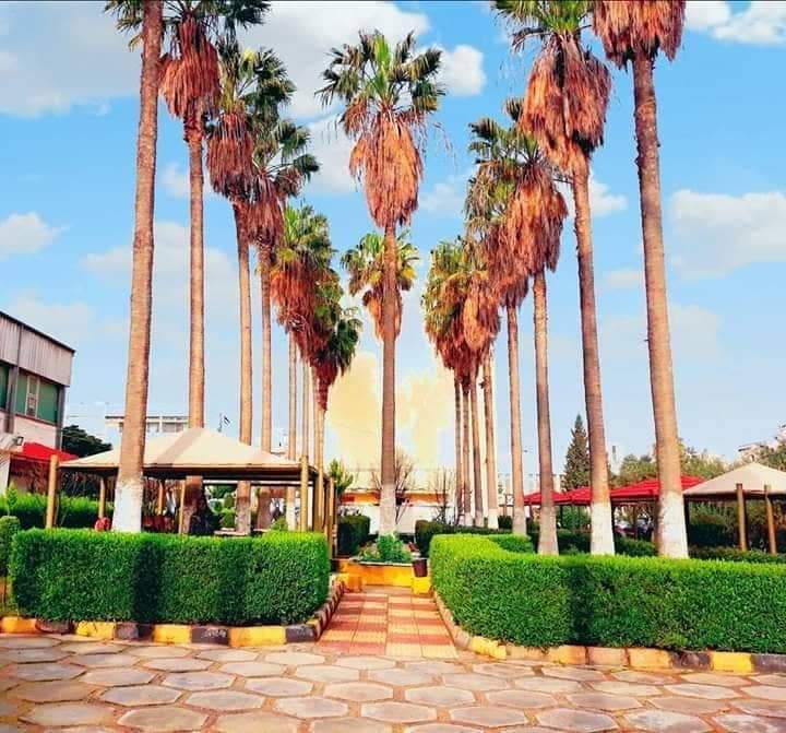 كلية إربد الجامعية