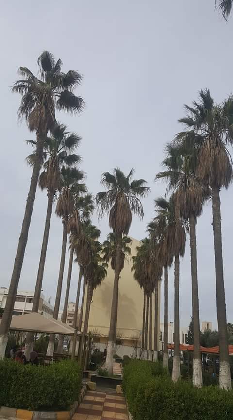 كلية إربد الجامعية 2