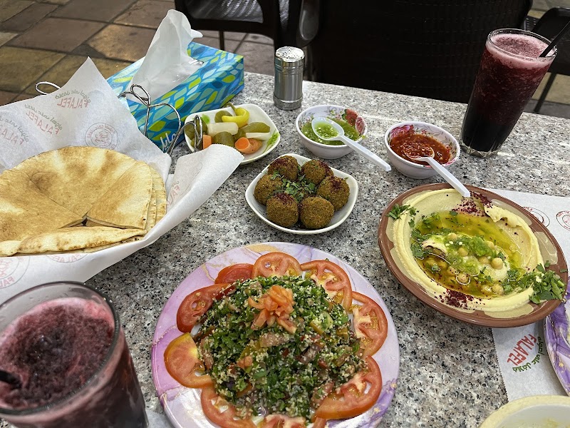 مطعم هاشم العقبة 4