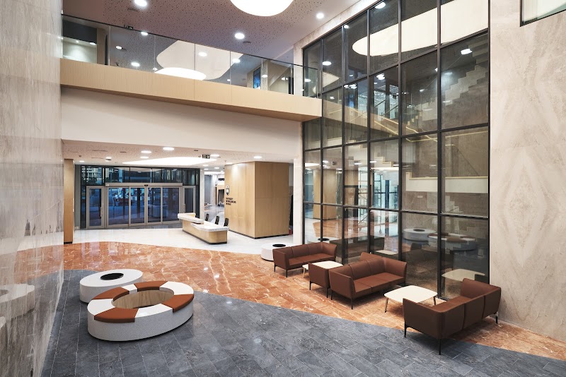 جامعة ولونغونغ في دبي 4