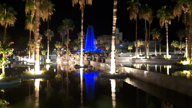 محمية العقبة البحرية 2