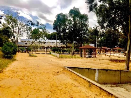 كلية التقنية الطبية