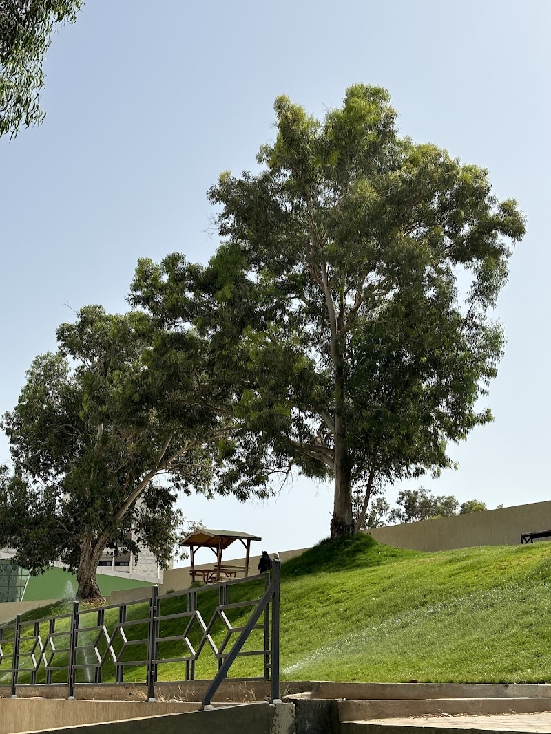 كلية التقنية الطبية 2