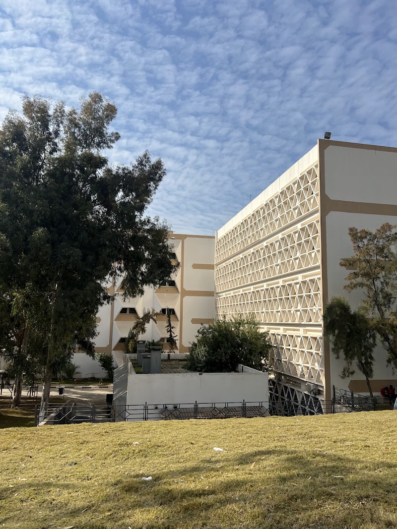 كلية التقنية الطبية 4