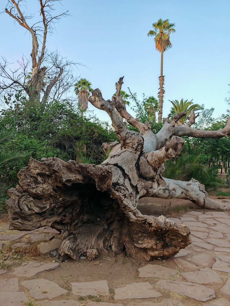 حديقة لالة عائشة 4