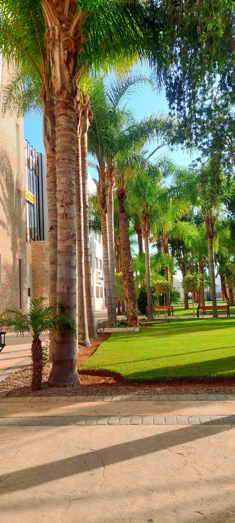 يونيكوس - جامعة أكادير الدولية 2