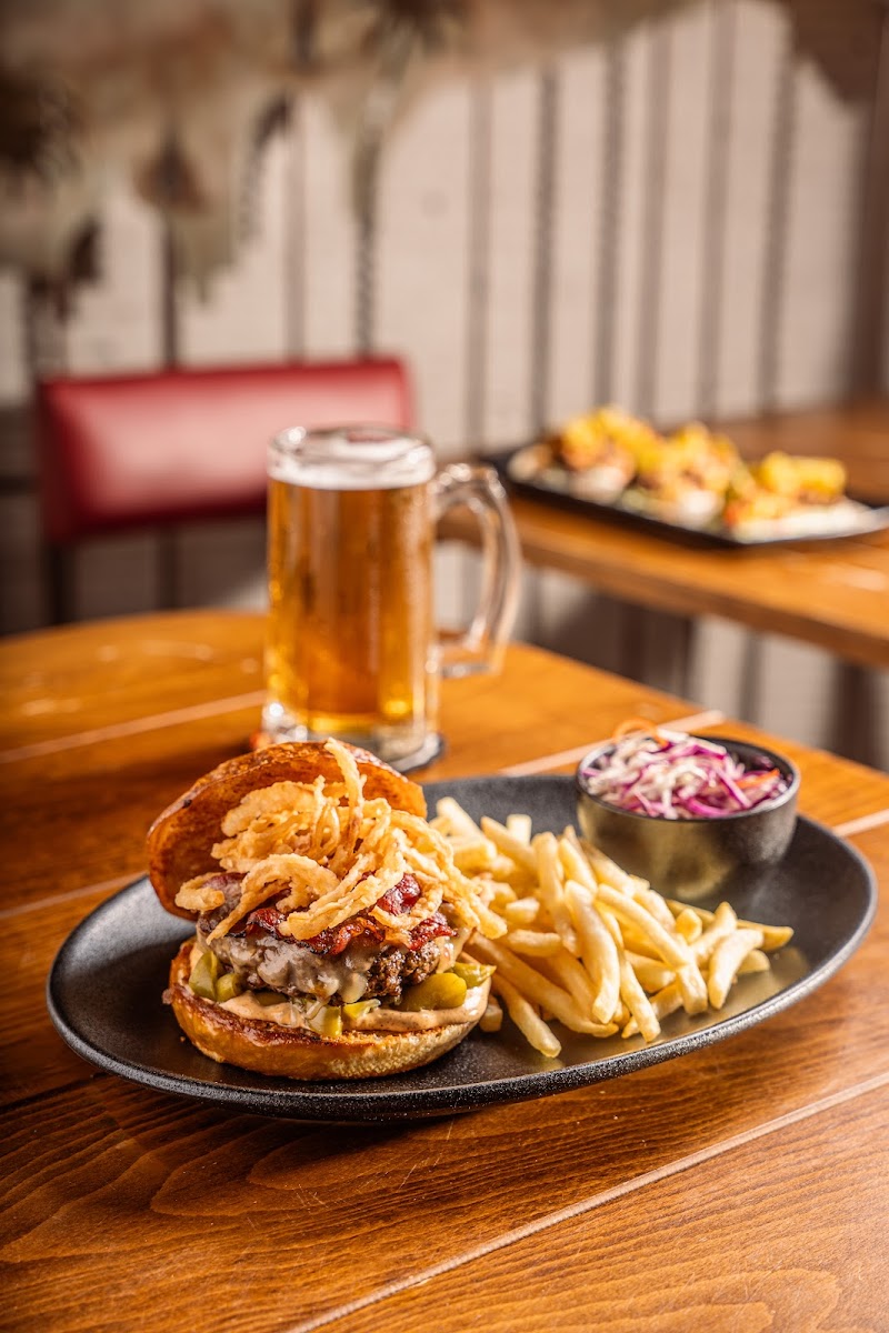 بقرة مِسكرَة العقبة 2