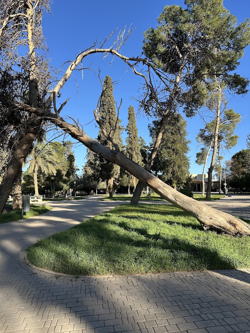 حديقة للاسكينة