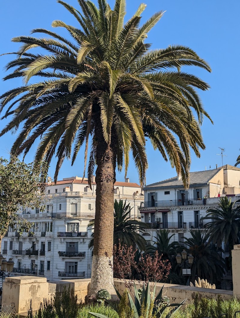 حديقة ساعة الزهور 4