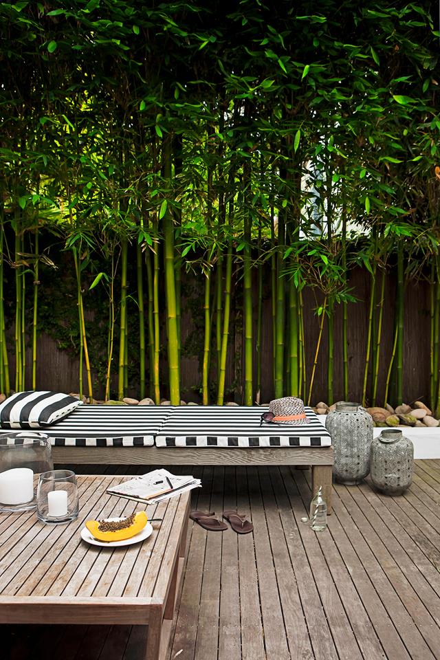 حديقة الجنة