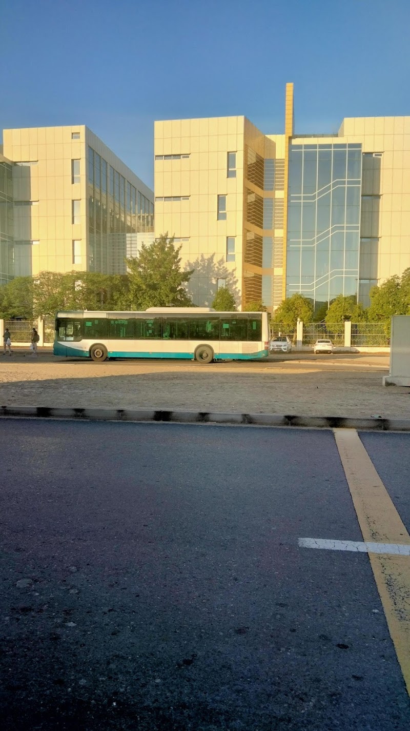 بوليتكنيك أبوظبي 2