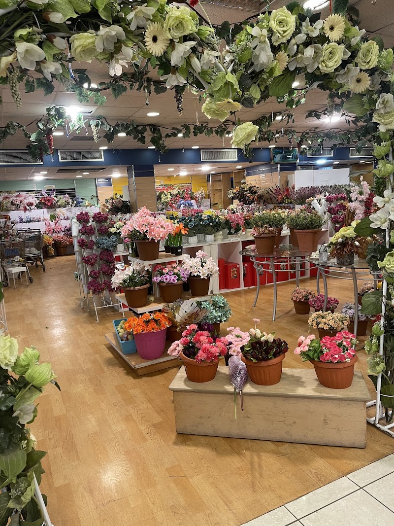 القرية الصينية العقبة 3