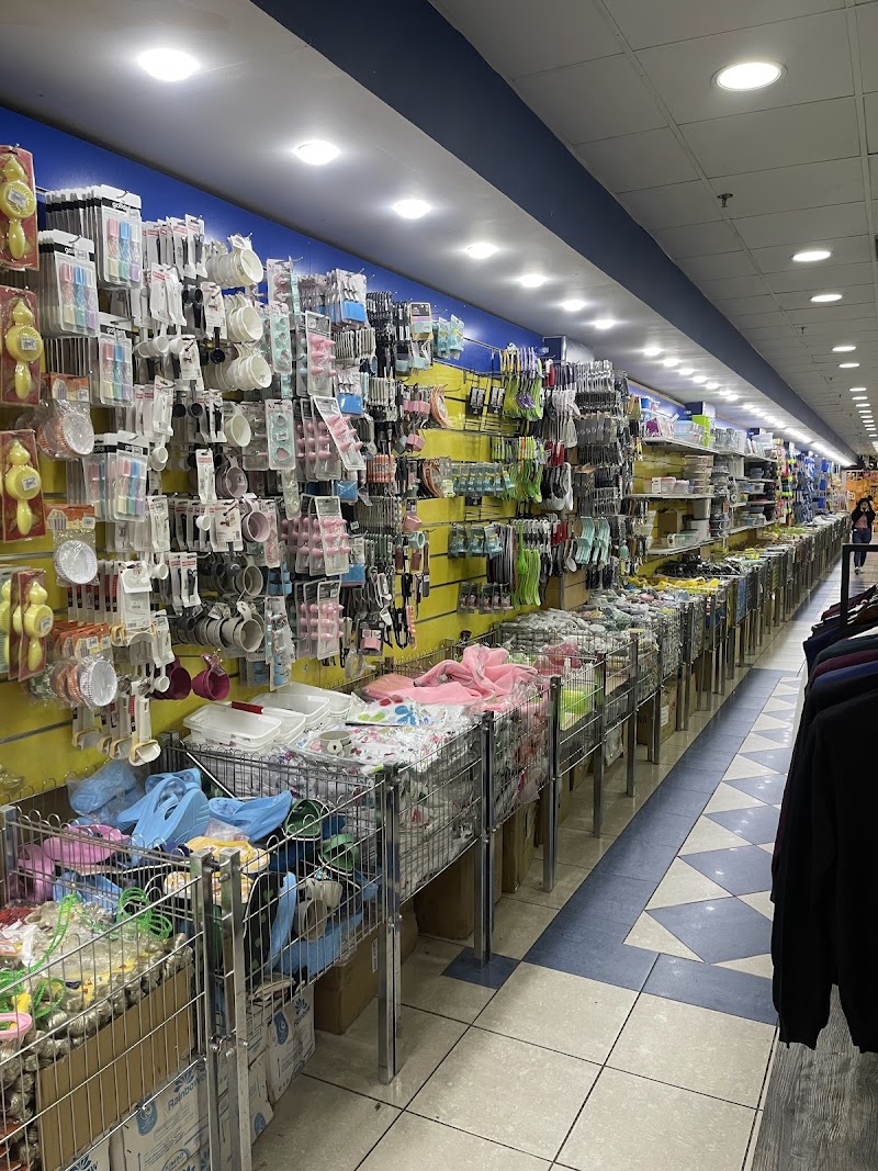 القرية الصينية العقبة 4