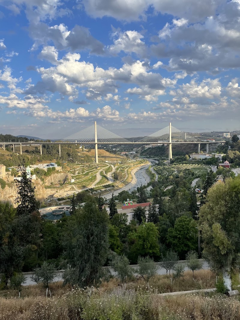 حديقة باردو 2