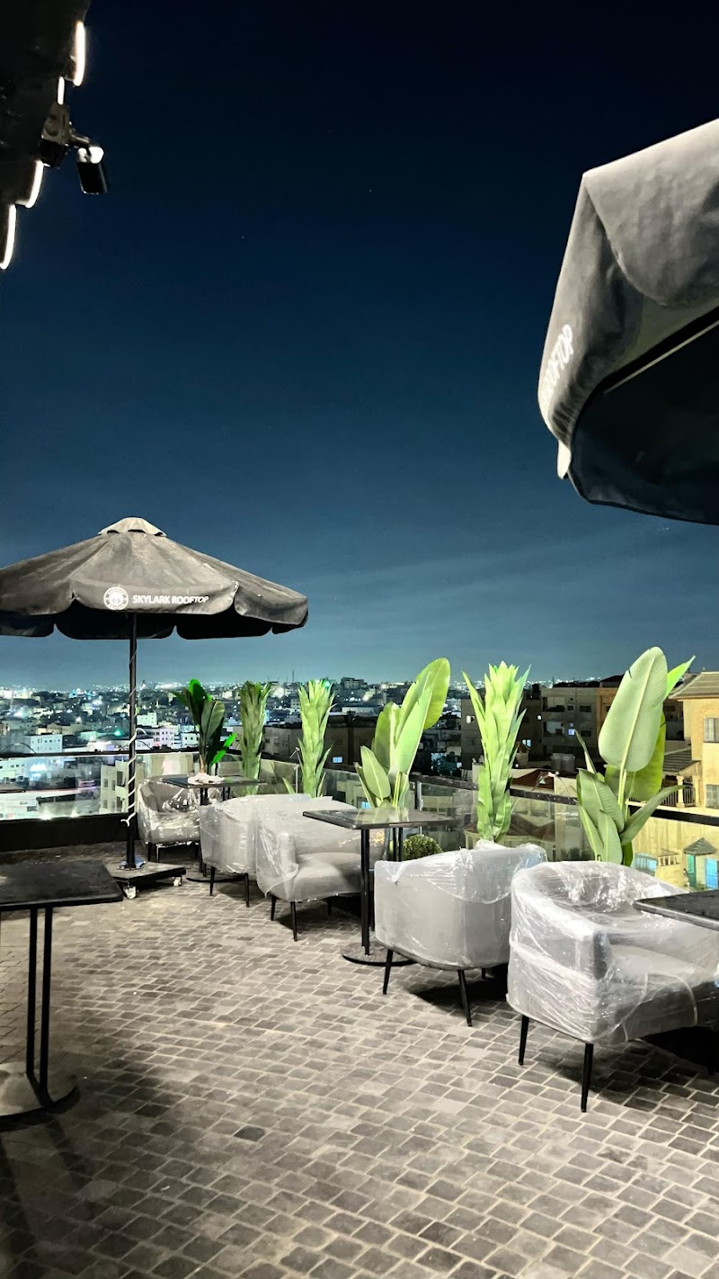 سكايلارك على السطح