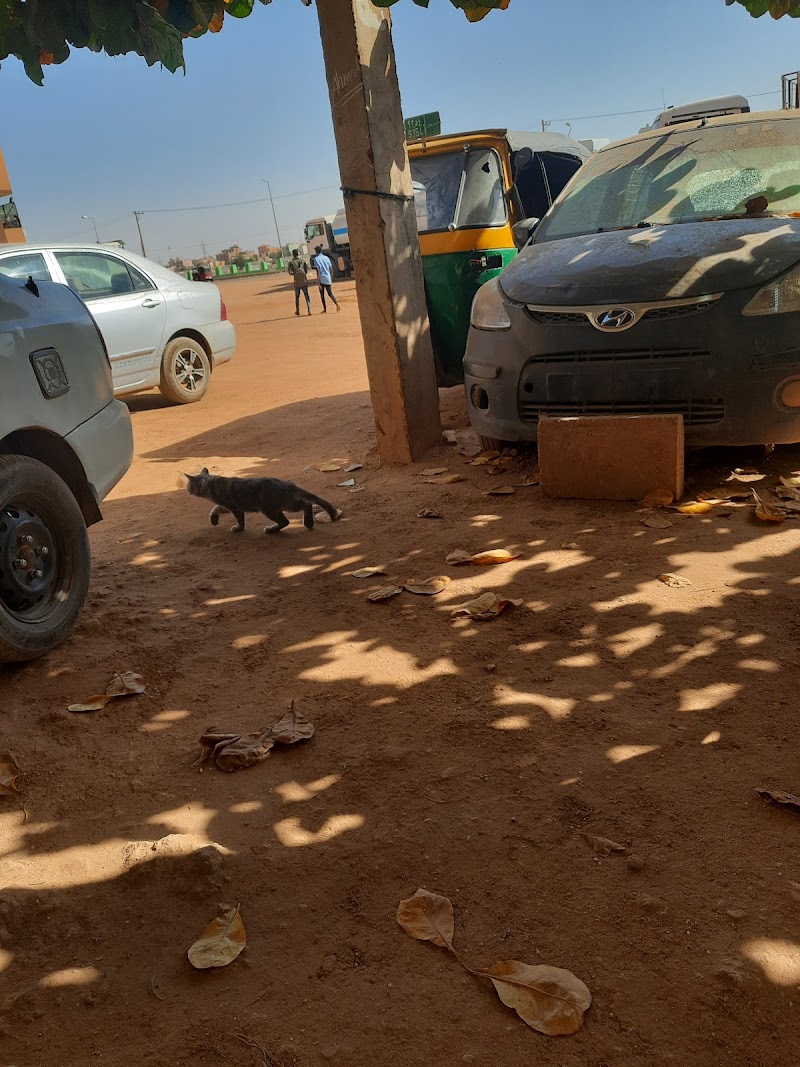 كلية الإمام الهادي (IHC)