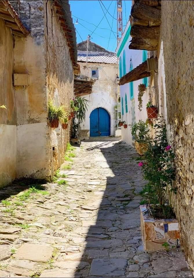 بنك الجزائر 3