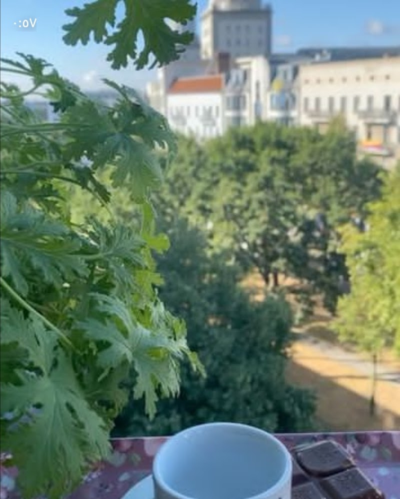 اكسبريس اسامة 2