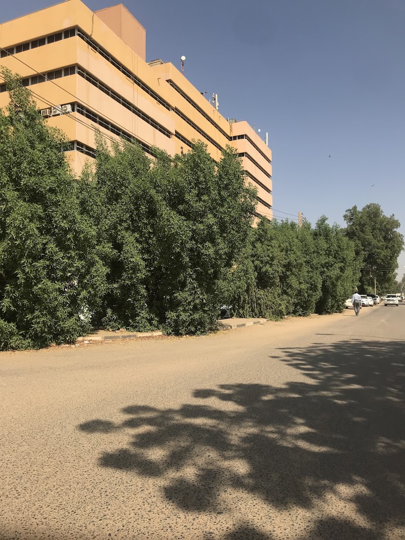 بنك التنمية الصناعية 2