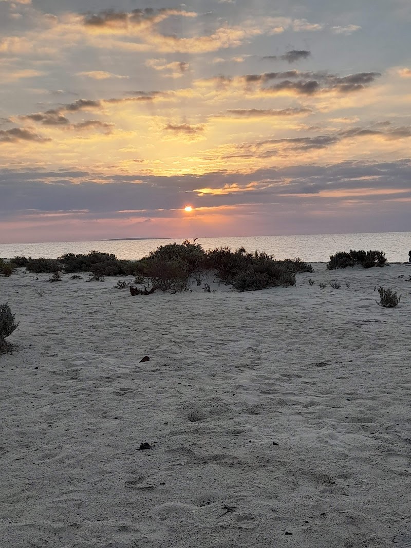 كافتيريا جوار OK كورنيش سيلاند 4