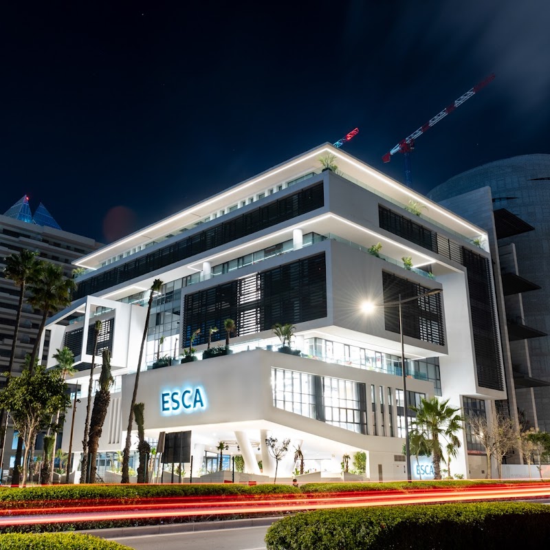 مدرسة إيسكا للإدارة 3