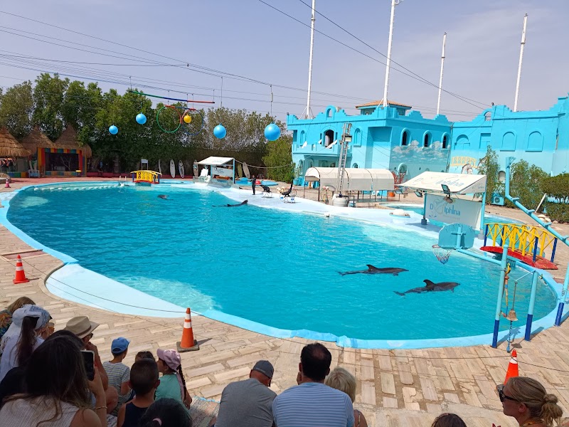 تراس للشقق الفندقية 2