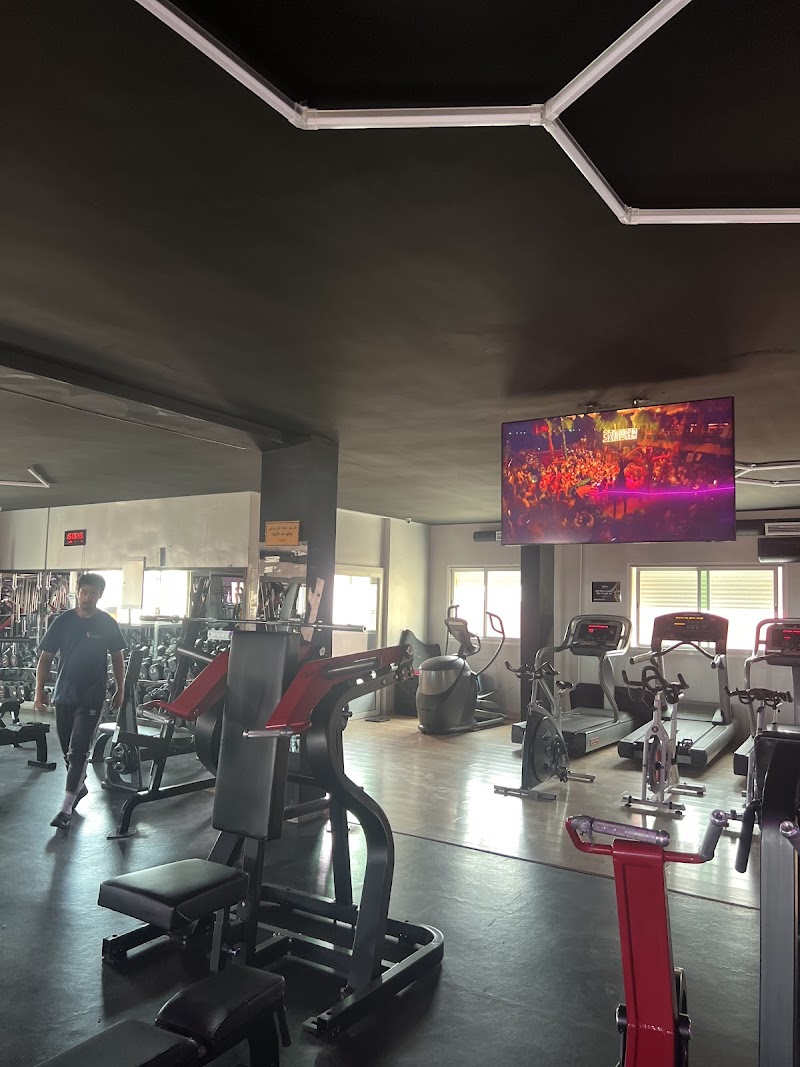 يلهام سبا وحمام