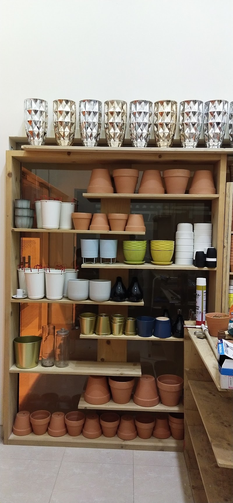 زهرة الموسم 4