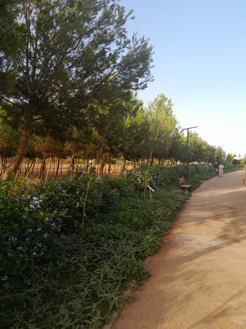 الحديقة الايكولوجية وجدة 2