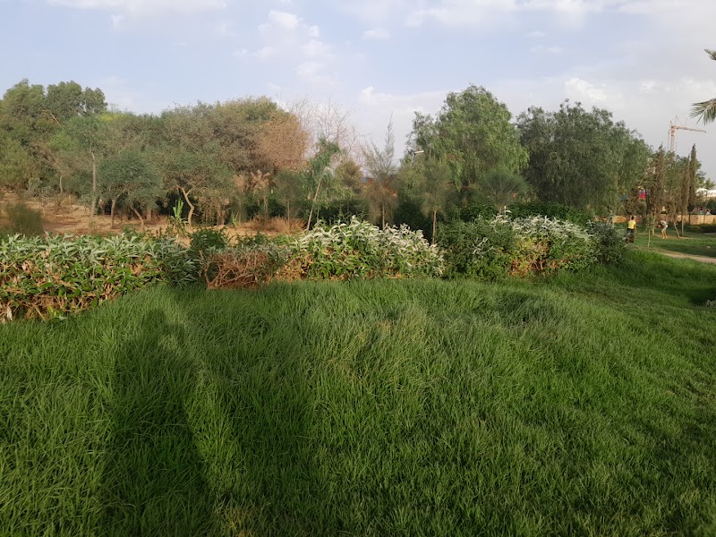 الحديقة الايكولوجية وجدة 3