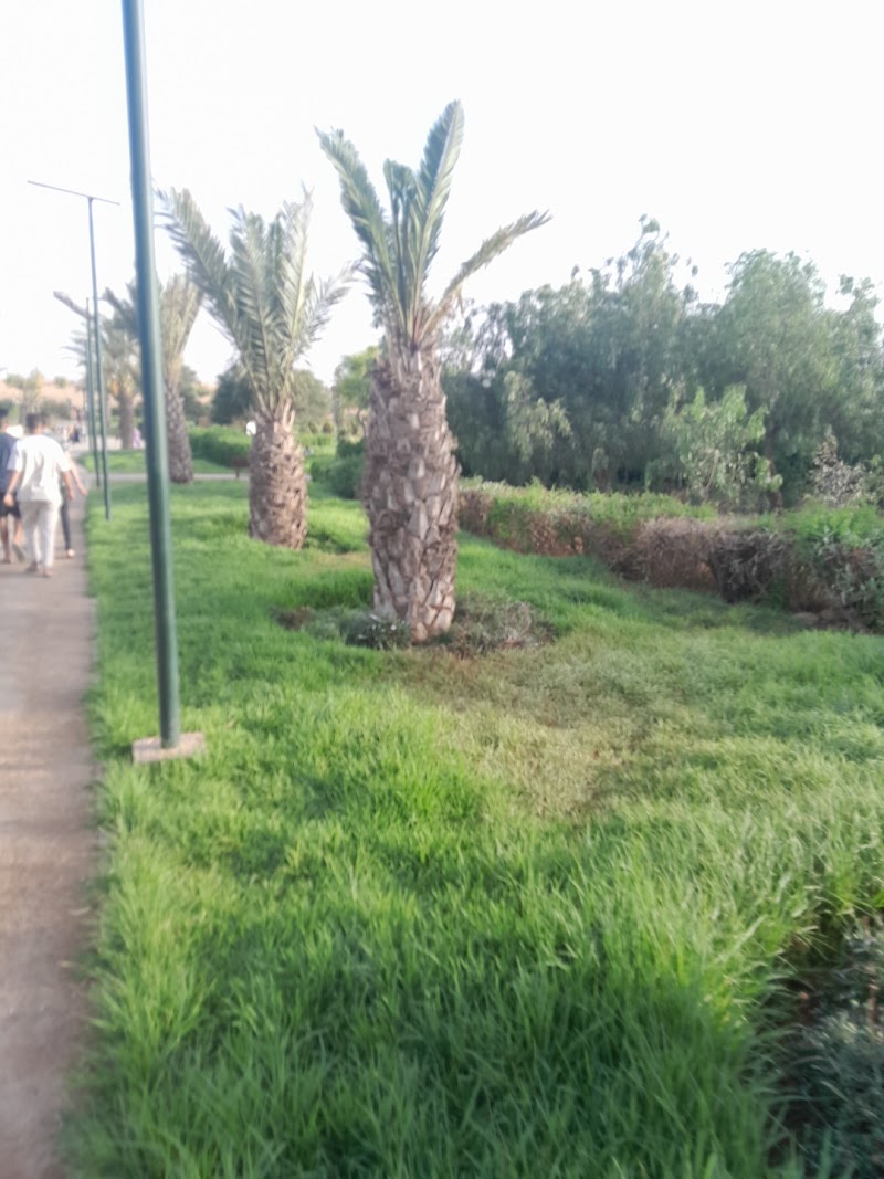 الحديقة الايكولوجية وجدة 4