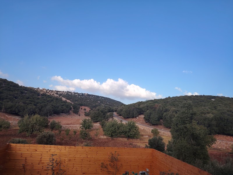 كوخ برمودا 2