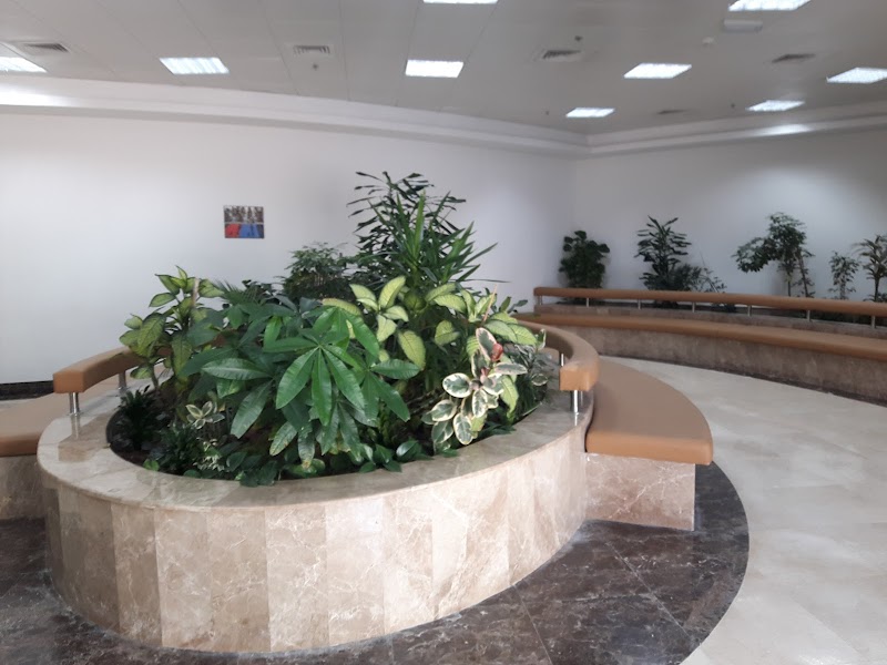 مدارس التكنولوجيا التطبيقية - عجمان 2