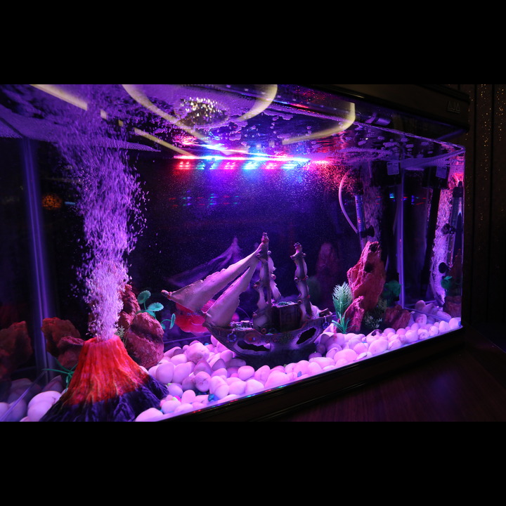 منتجع شاندريما عجمان - مركز التدليك والاسترخاء 4